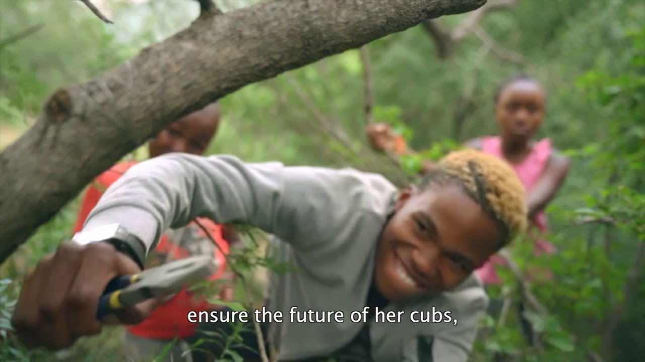 Magaliesberg Biosphere Reserve implements Sustainable Development Goals (South Africa)