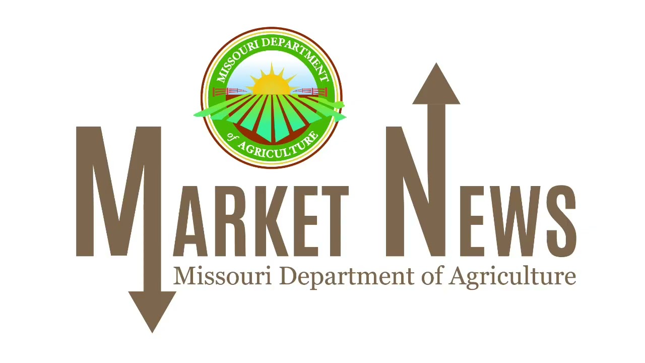 Market Recap Feb 17, 2026