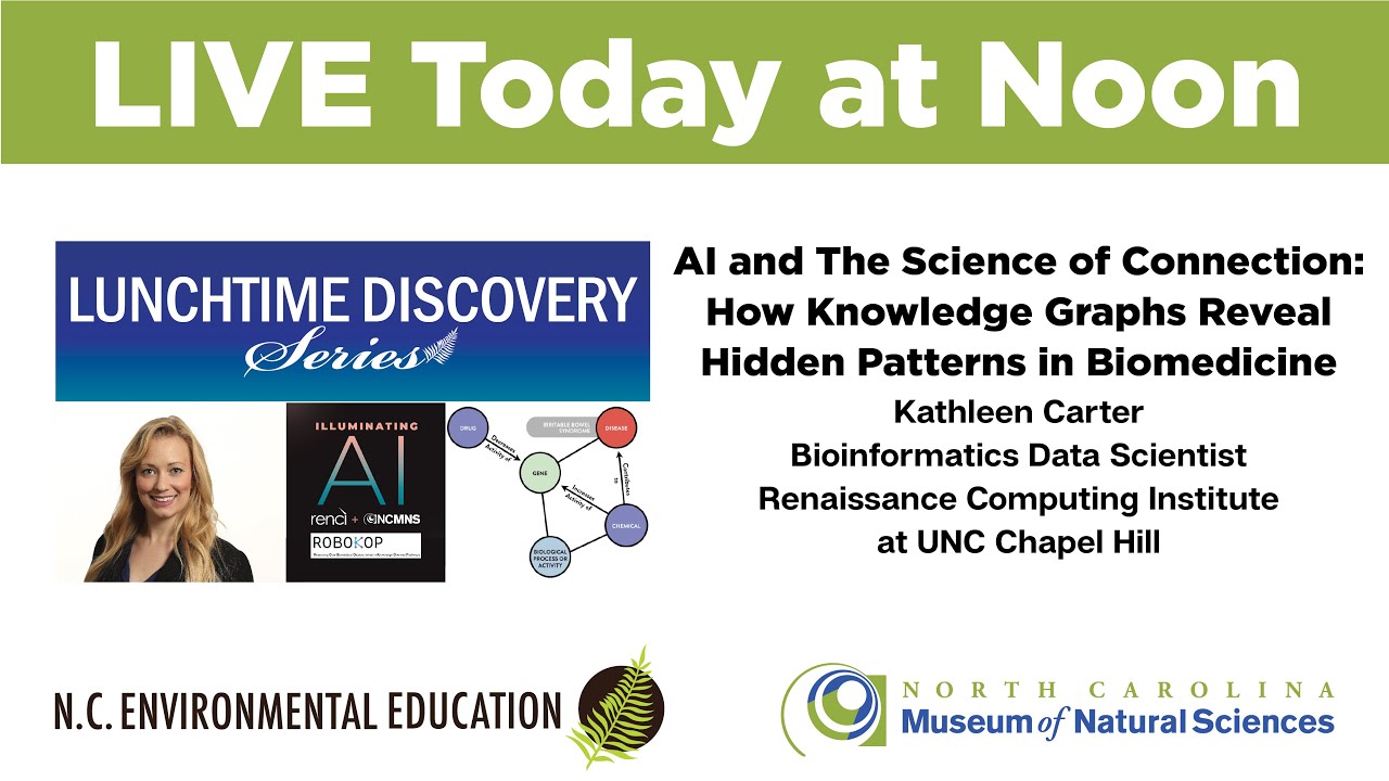 AI and The Science of Connection: How Knowledge Graphs Reveal Hidden Patterns in Biomedicine