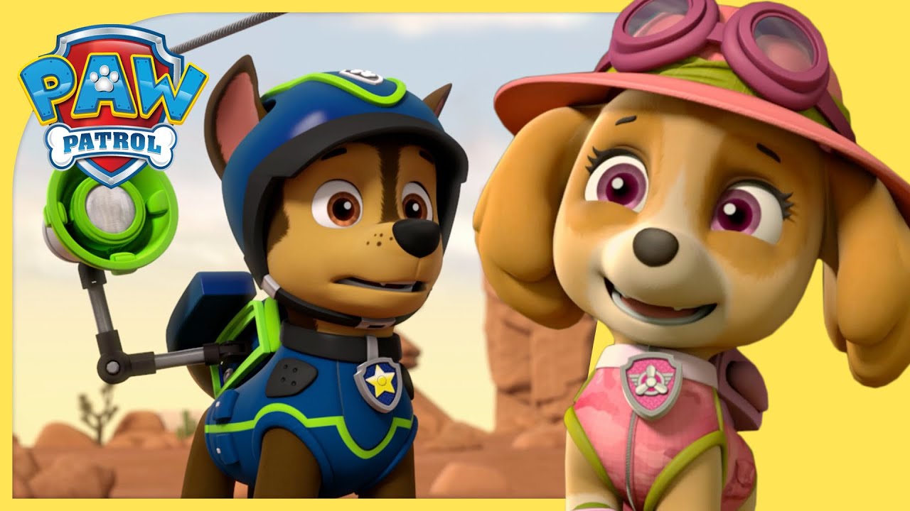The Best Chase and Skye Rescues 🚨 | PAW Patrol Compilation | Cartoons for Kids