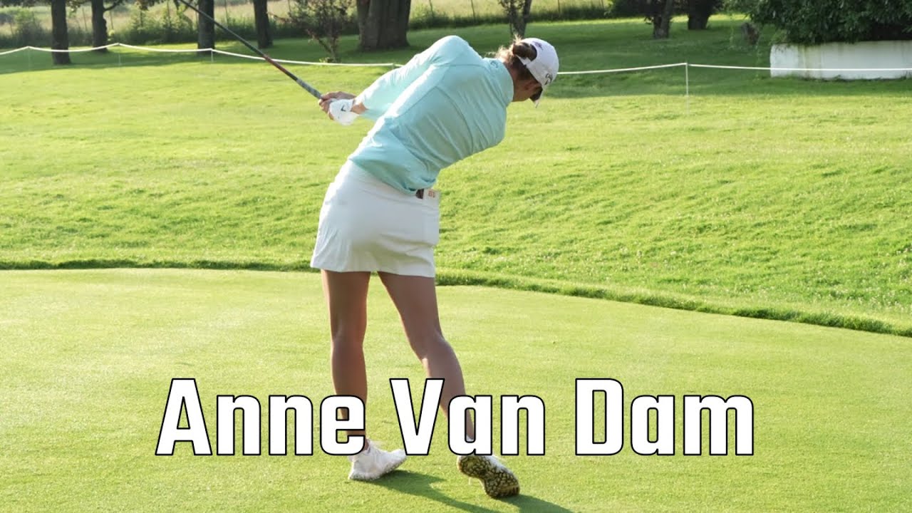 아이언을 이래치는데 드라이버가 필요함? Anne van dam