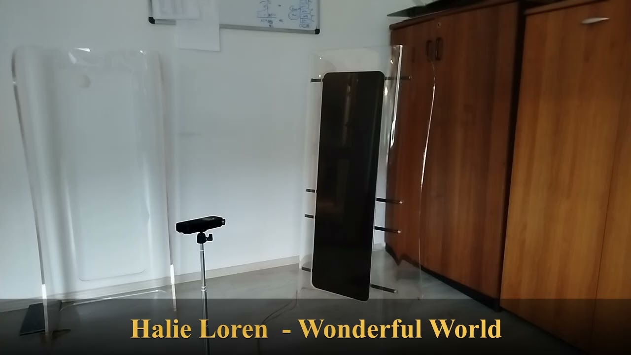 Carbon Fiber DML speaker  - Test 1