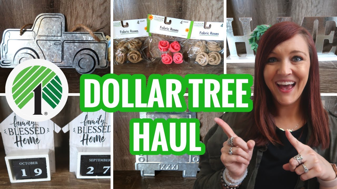 MUST SEE Dollar Tree Haul | June 2021 | New Finds at Dollar Tree