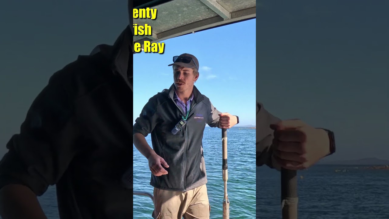 Cutty's Glass Bottom Boat Tour