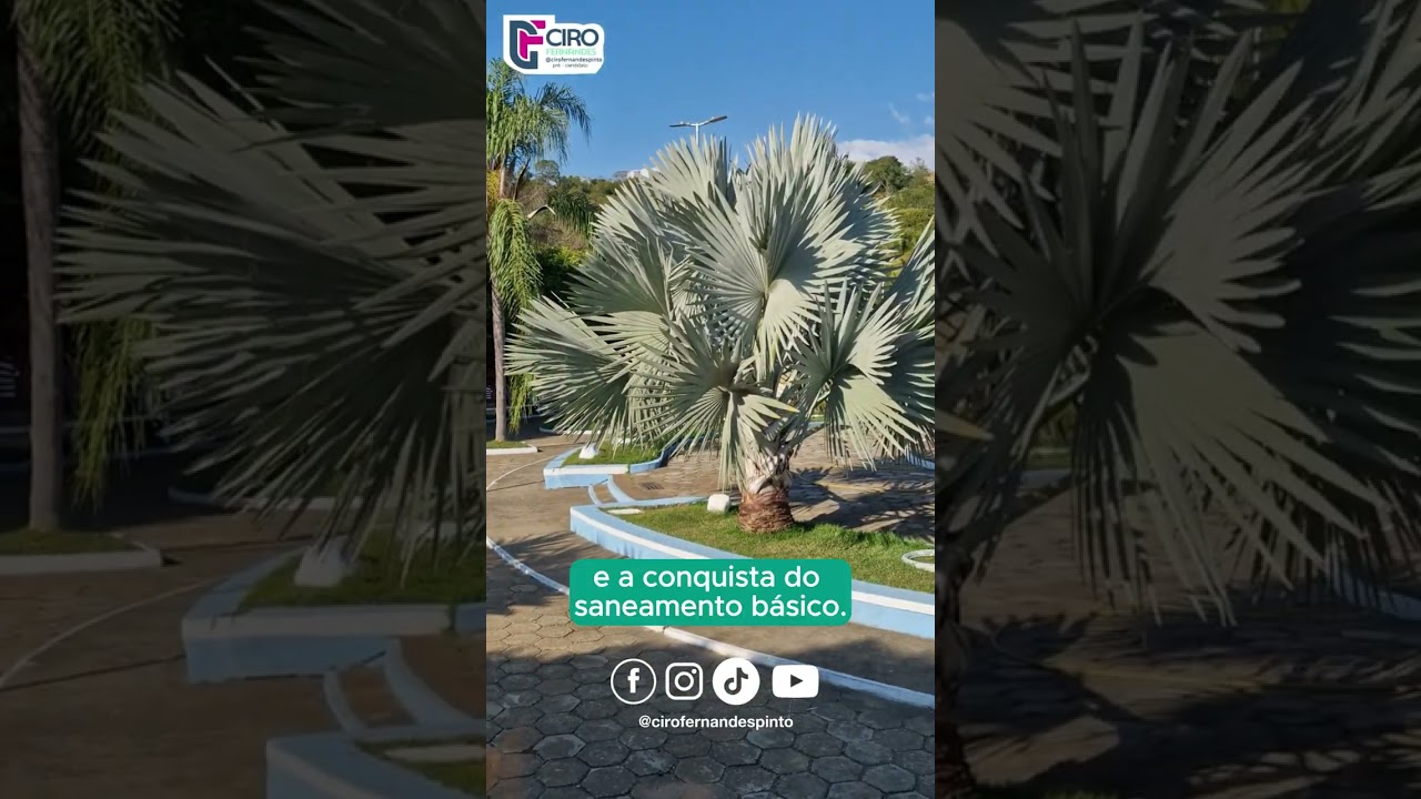 CIRO EM EUCLIDELÂNDIA