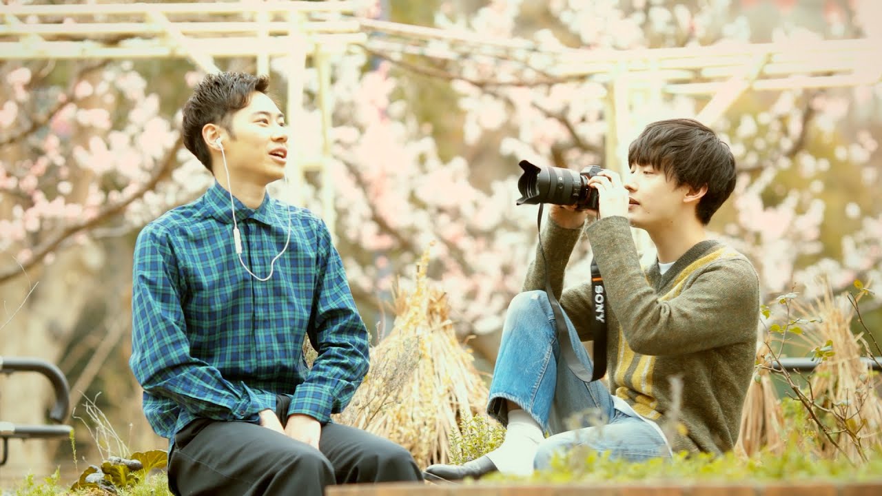 向井太一 / Colorless（Official Music Video）