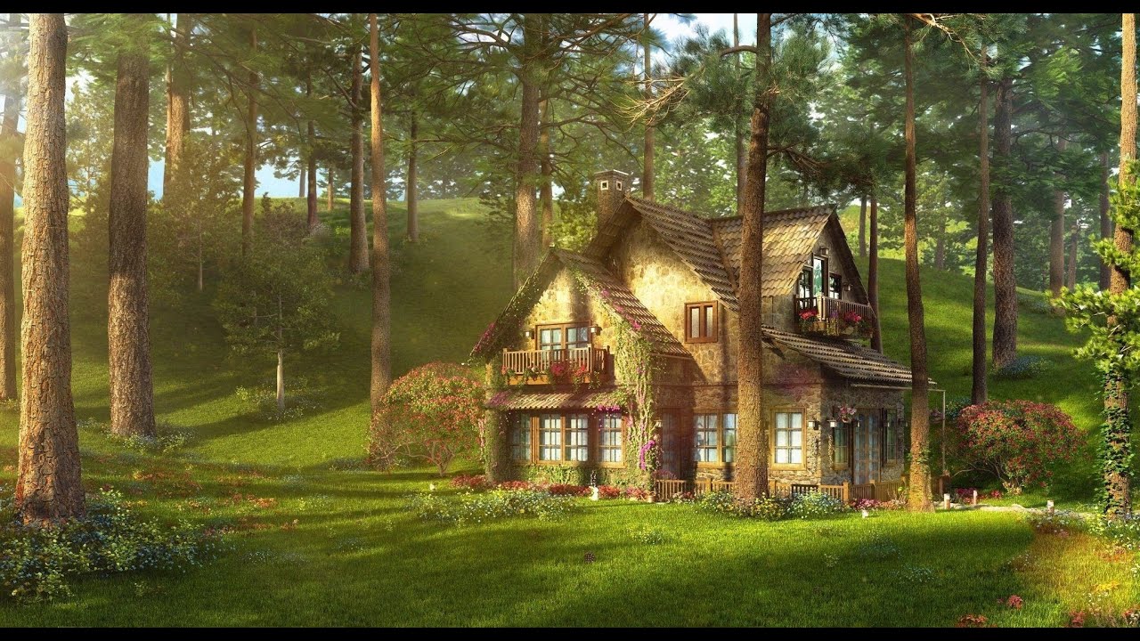 Наконец-то своя берлога)))