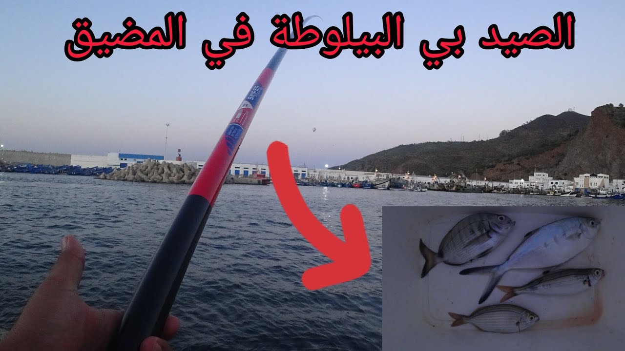  المضيق:🎣 رحلة صيد ممتعة في ميناء المضيق | تجربة لا تُنسى🐟 #fishing #mdiq 
