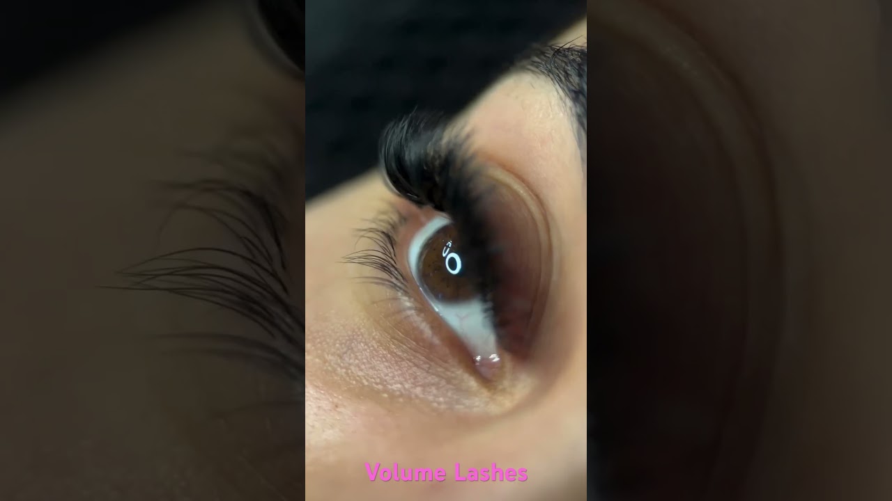 Volume Lash Extensions in Los Angeles #lashes #lashextensions #eyelashes #lalashes #belris