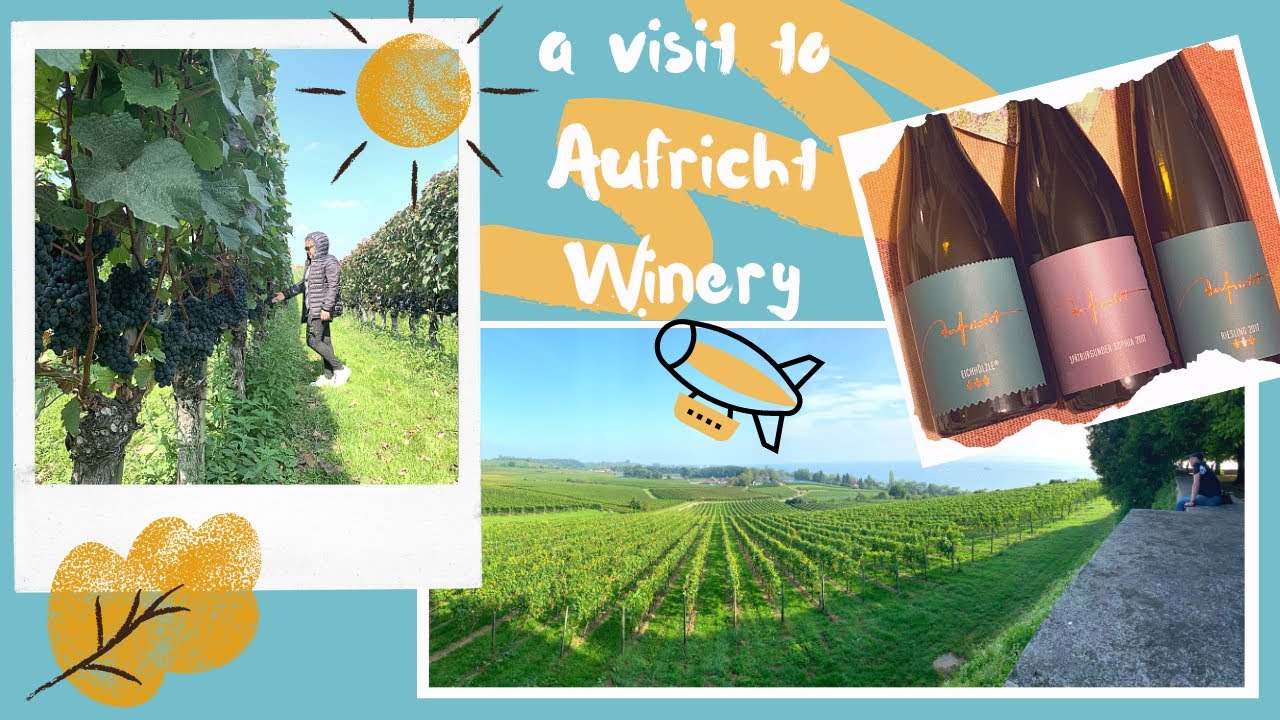 A visit to a winery at Lake of Constance (Bodensee) / Baden Wurttemberg Germany