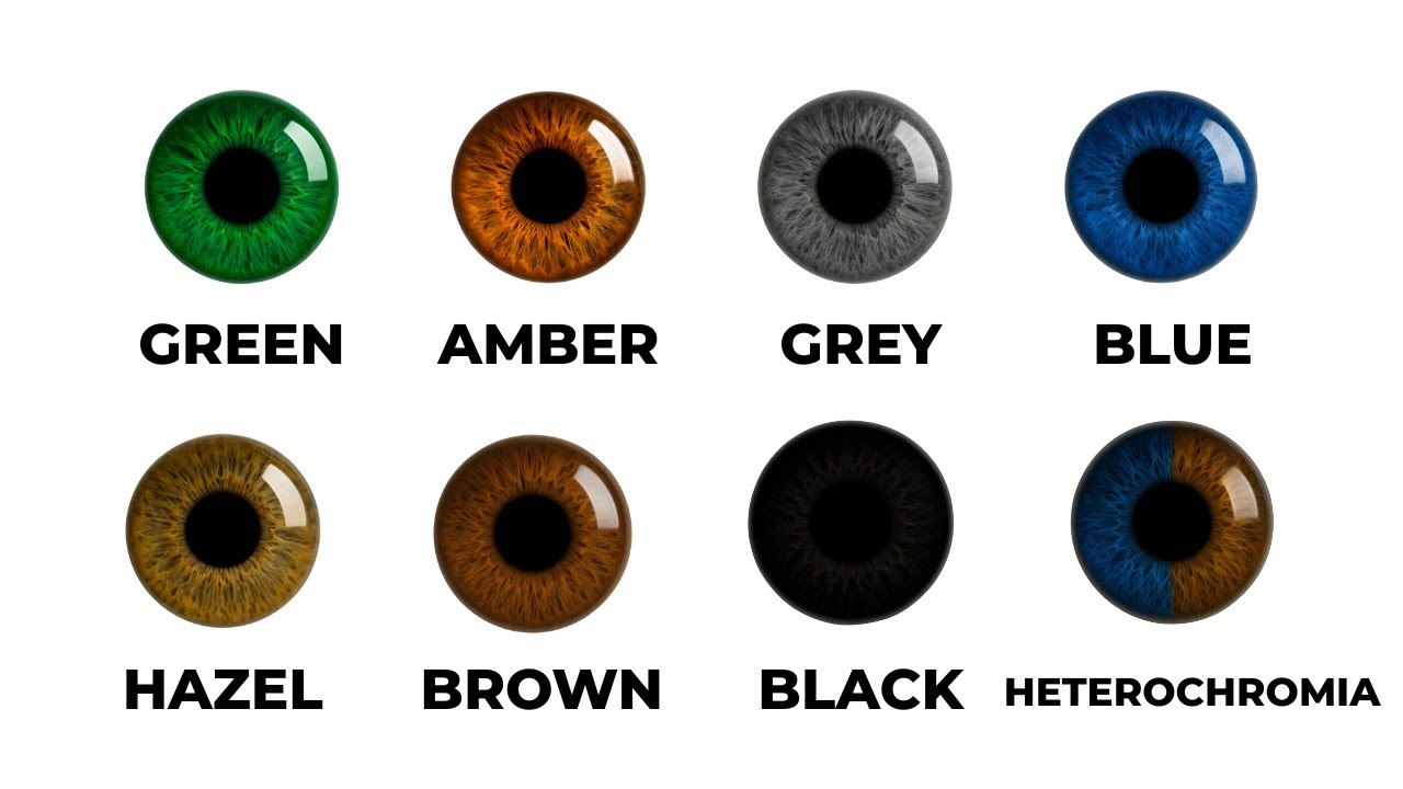 Every UNKNOWN Benefit Of Your Eye Colour Explained In Detail