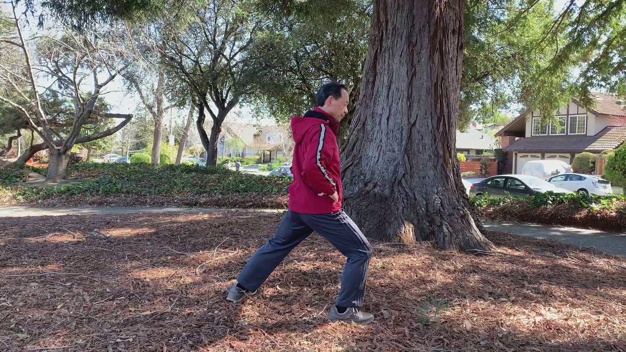Fall Prevention Training 4: Improve full body coordination with Taiji stepping techniques