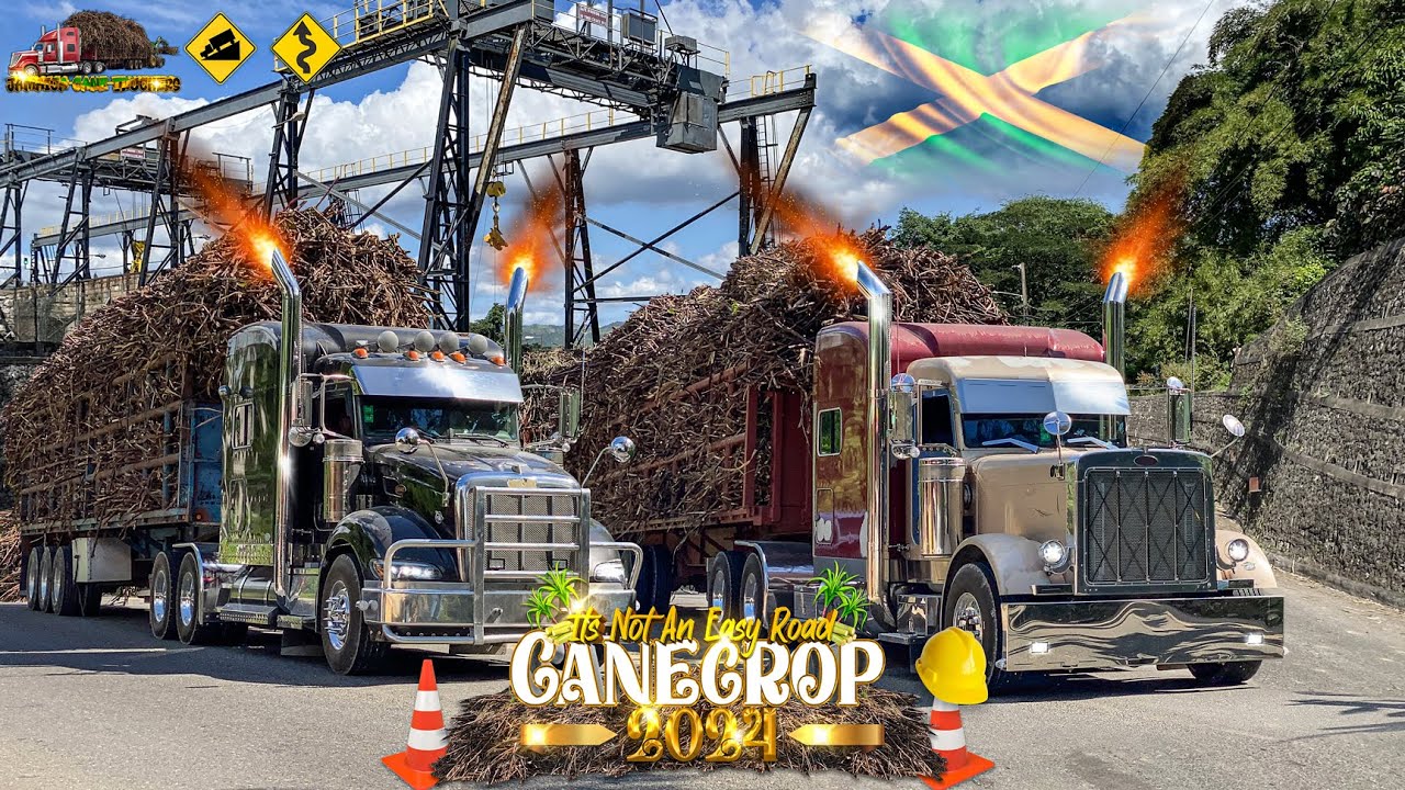 Jamaican Truckers | In Action | S01E05 | Cane Crop 2024 | Official