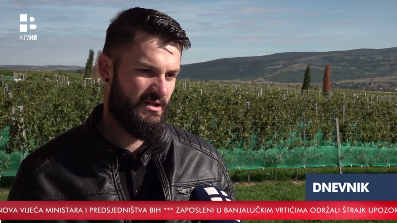 RTV HB | Od duvanjskog vinograda do vrhunskih vina