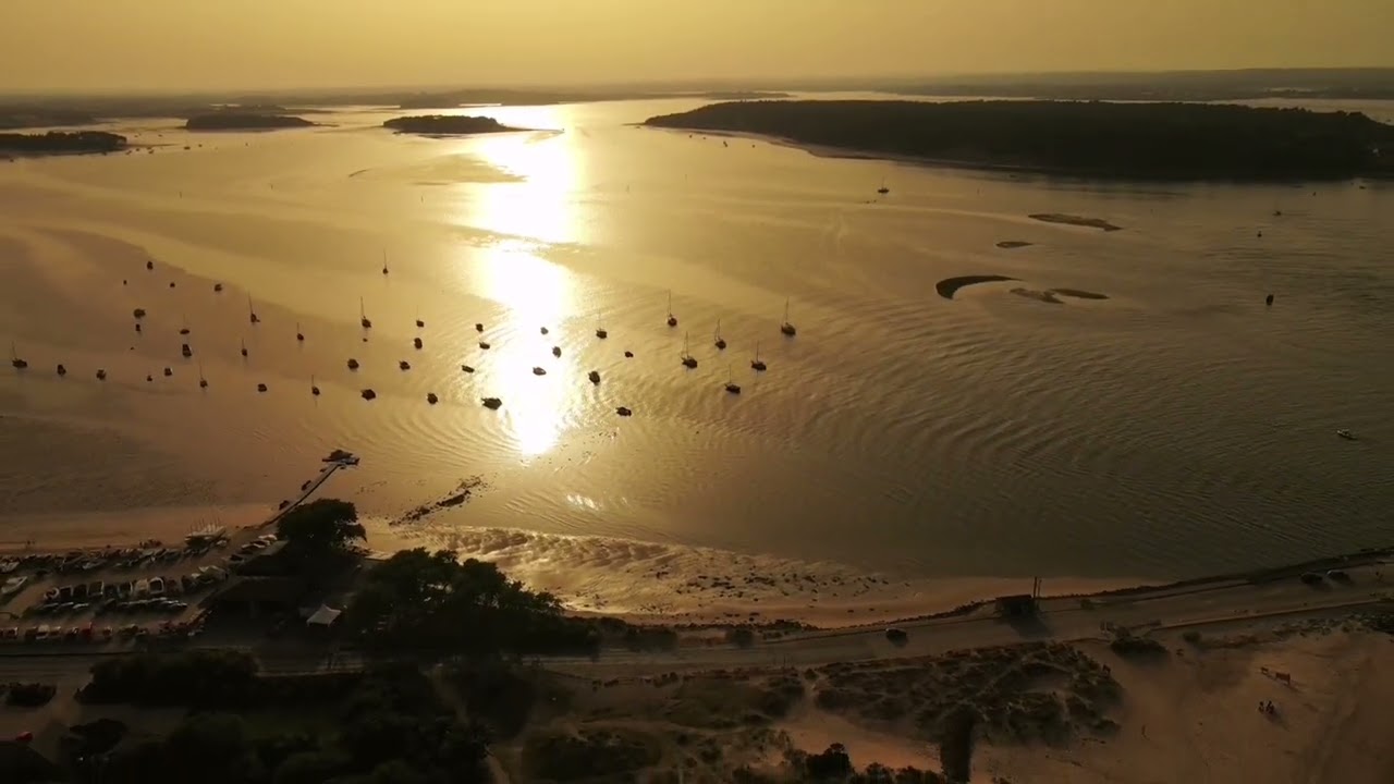 Shell Bay, Studland, Dorset UK