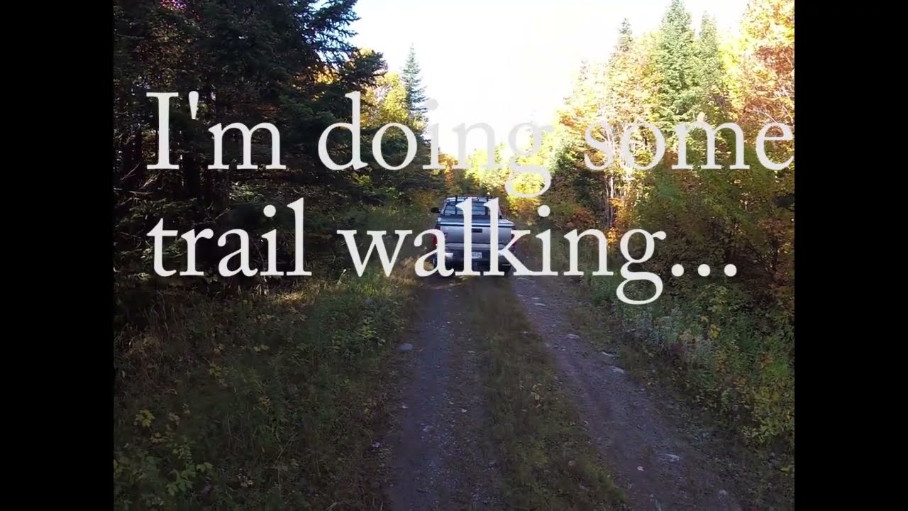 Maine Grouse Hunting 2022