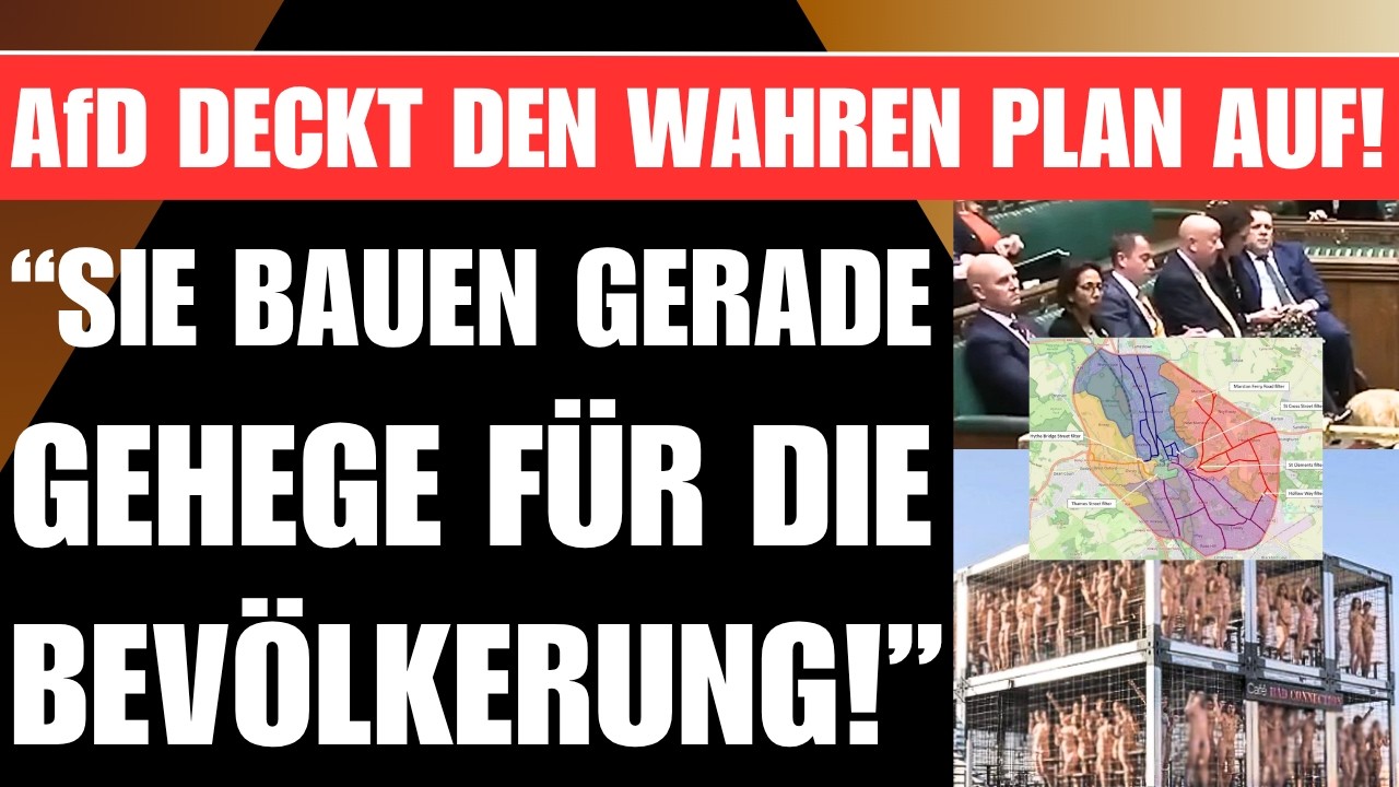 AfD-MANN WARNT 🚨 