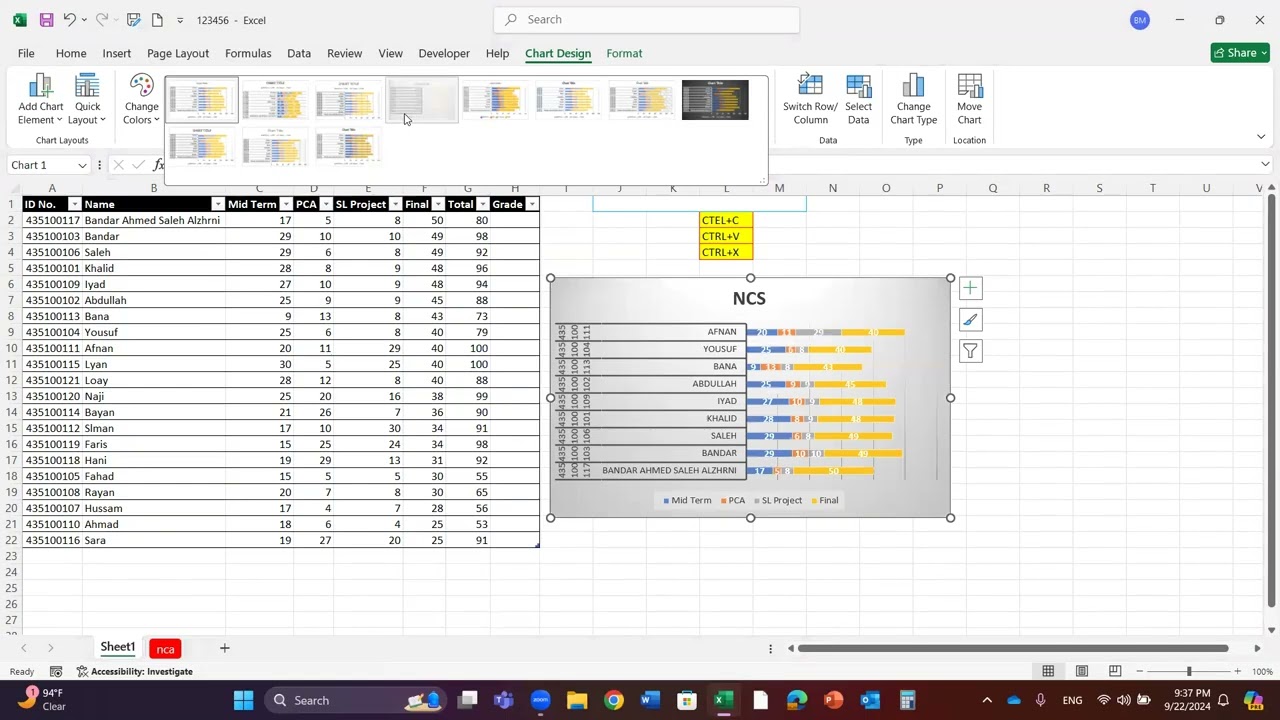 Excel 2024