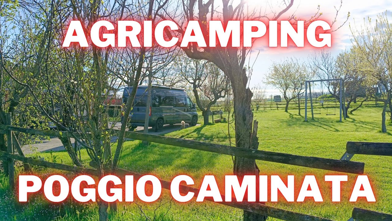 Agricampeggio Poggio Caminata. Meraviglia in collina.