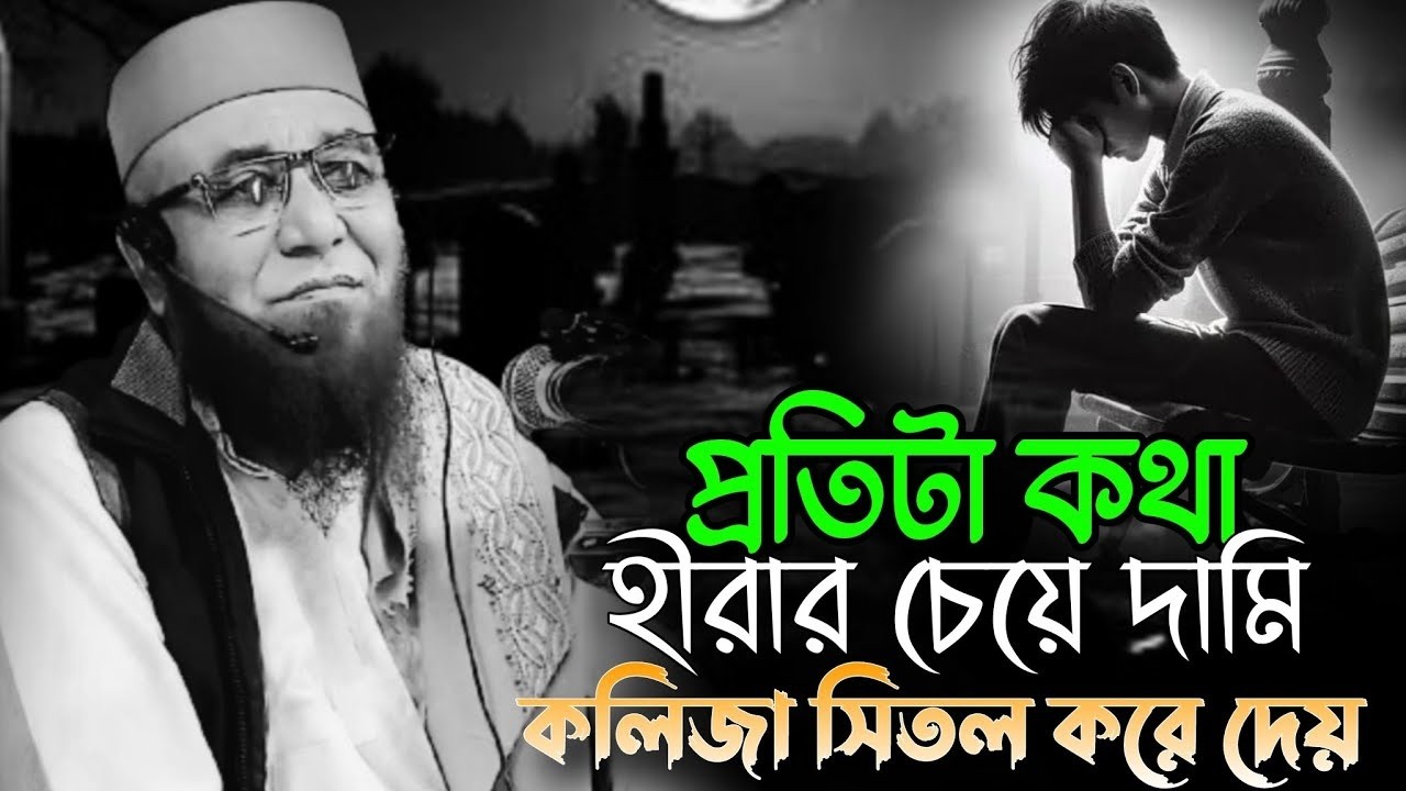 ওয়াজটা একা একা শোনো অজান্তেই কান্না আসবে । মুফতি নজরুল ইসলাম কাসেমী । Mufti Nazrul Islam Kasemi waz