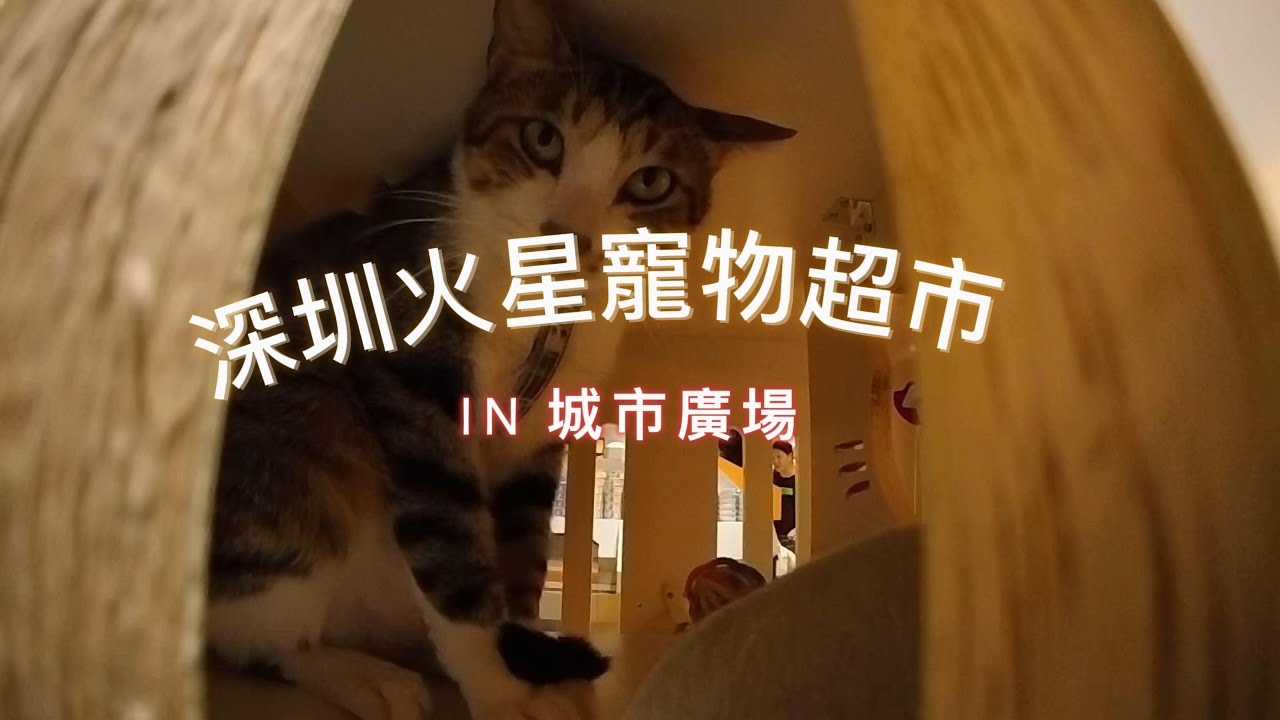 深圳羅湖老街古怪店及IN城市廣場大型寵物超市 MARSMART PETS 火星寵物超市 Vol.2