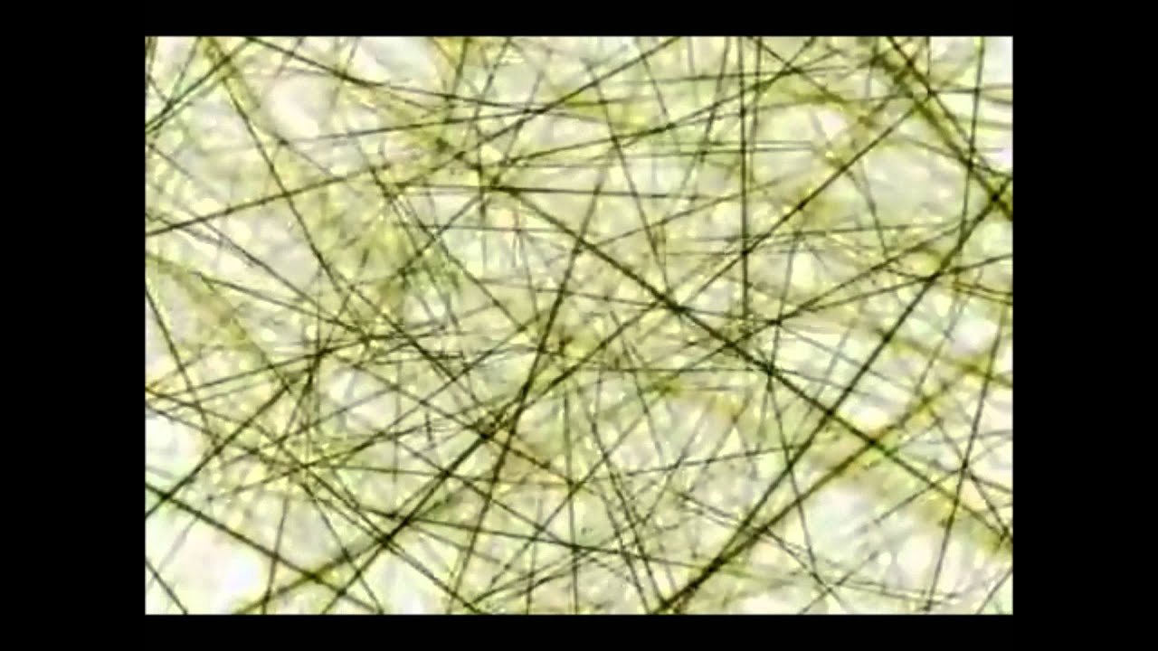 PANA-G-  -  PHANTOMAS