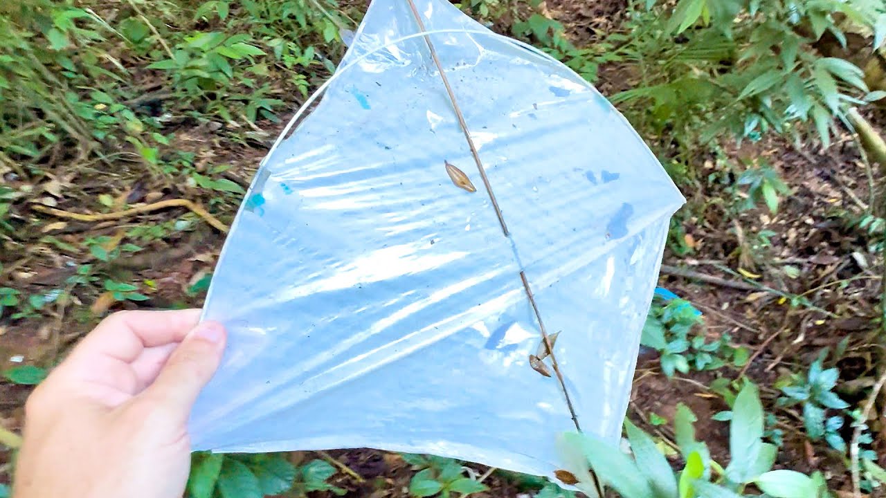 Peguei Essa Pipa que Caiu na Floresta - Video de Xepa