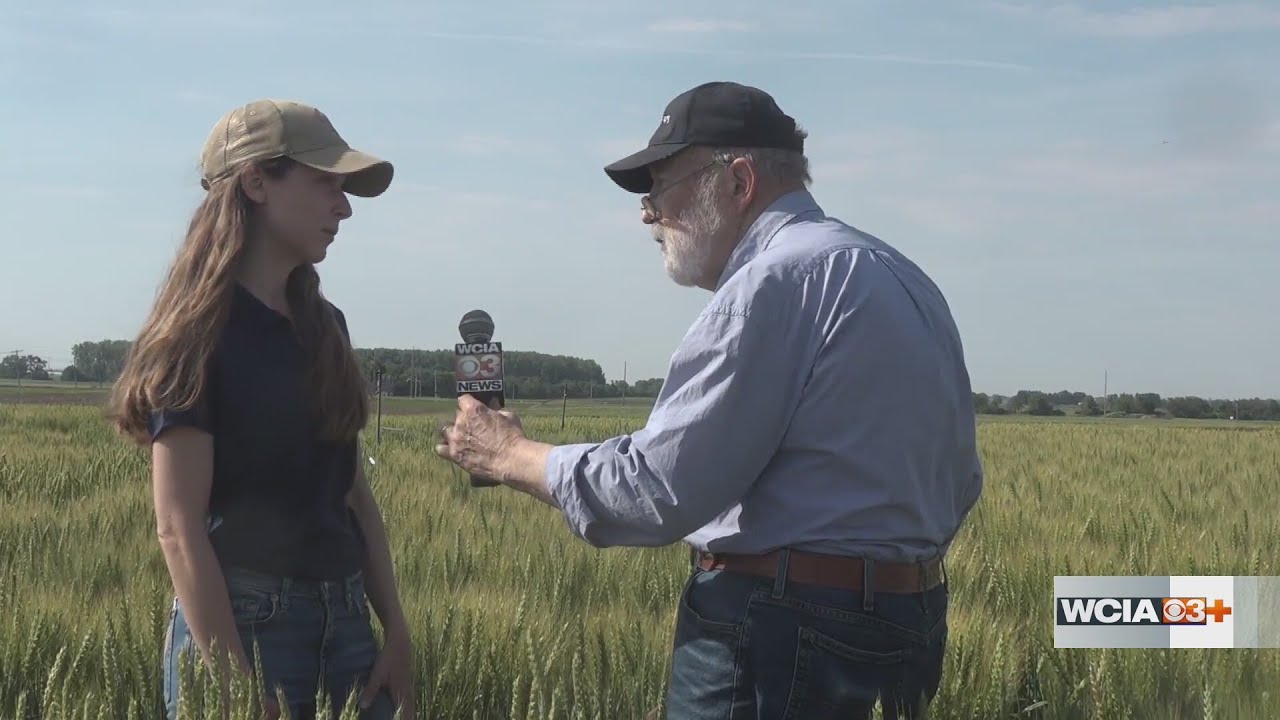 From the Farm: Wheat breeder provides outlook on 2026 harvest
