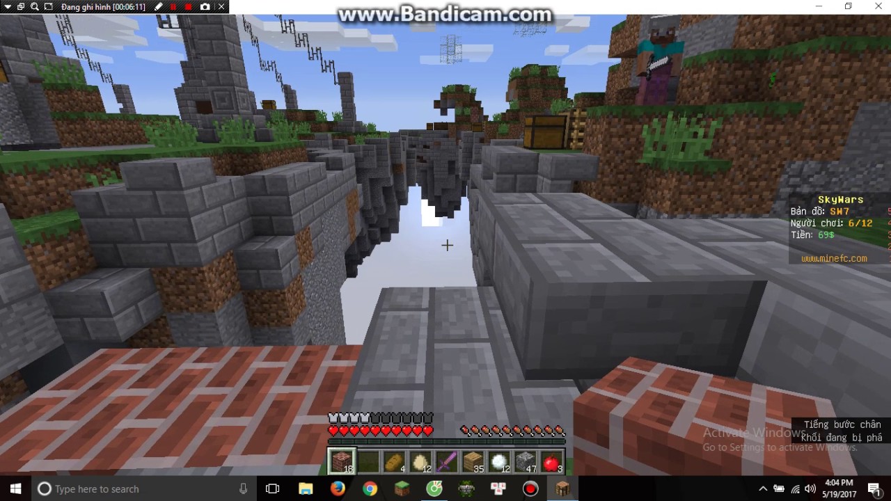 choi minecraft
