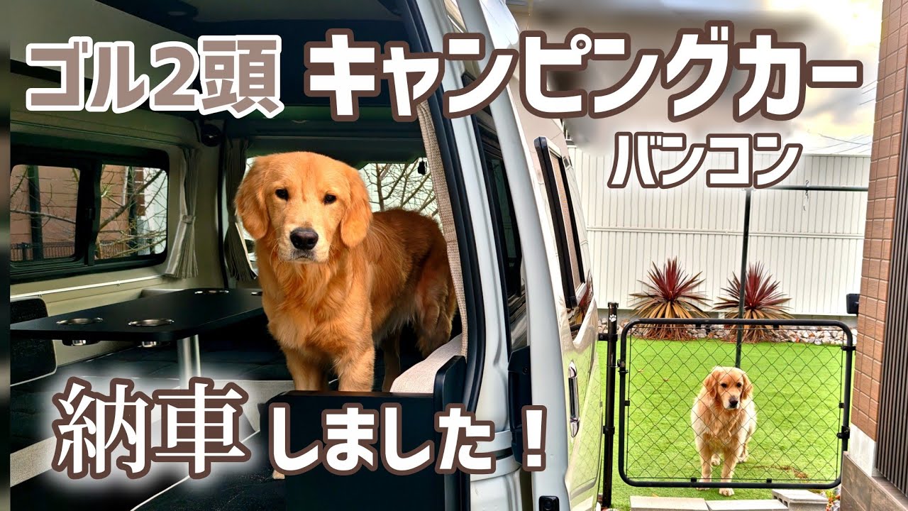 全力独身中年とゴル2頭【ハイエース】憧れのキャンピングカーついに納車！！