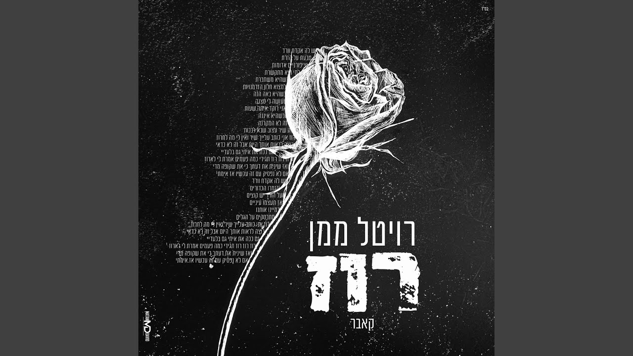רוז