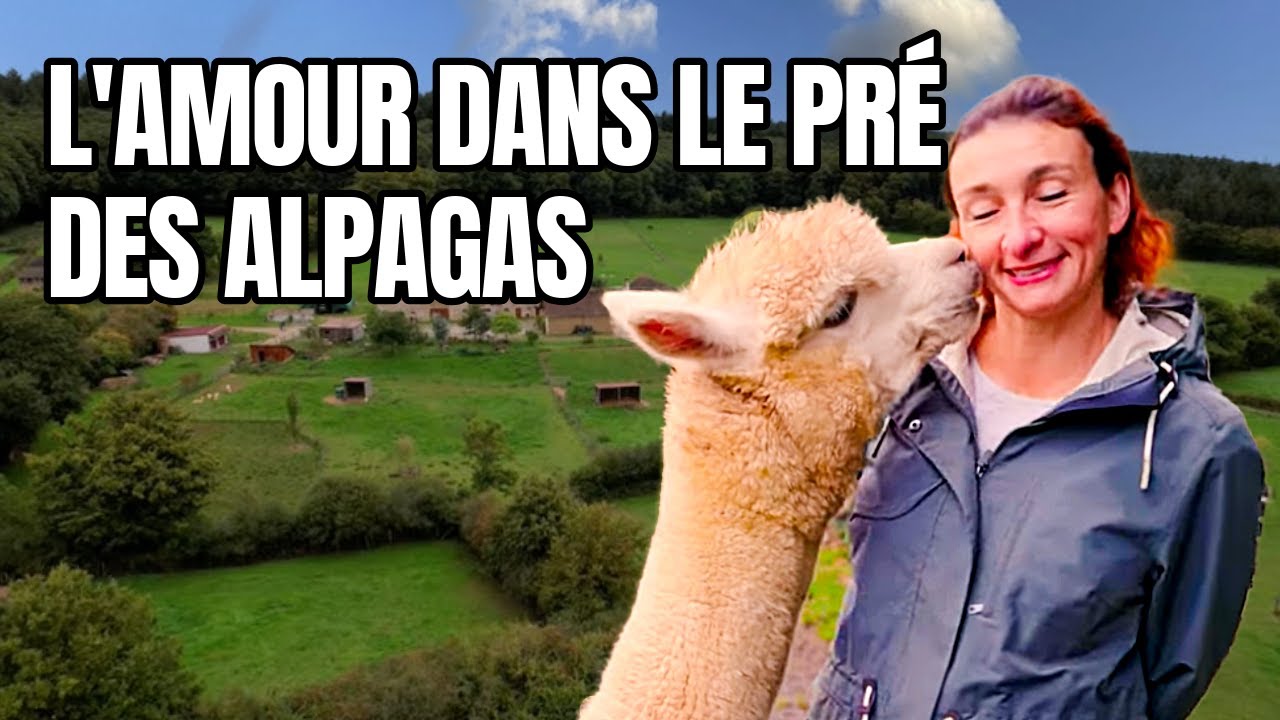 Géraldine de L’Amour est dans le Pré ouvre les portes de sa ferme aux alpagas