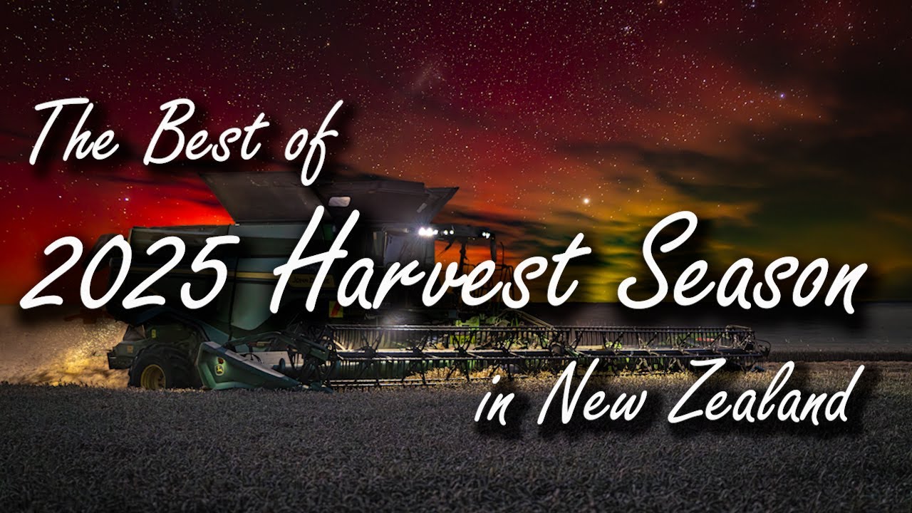 The best of 2025 harvest season in New Zealand