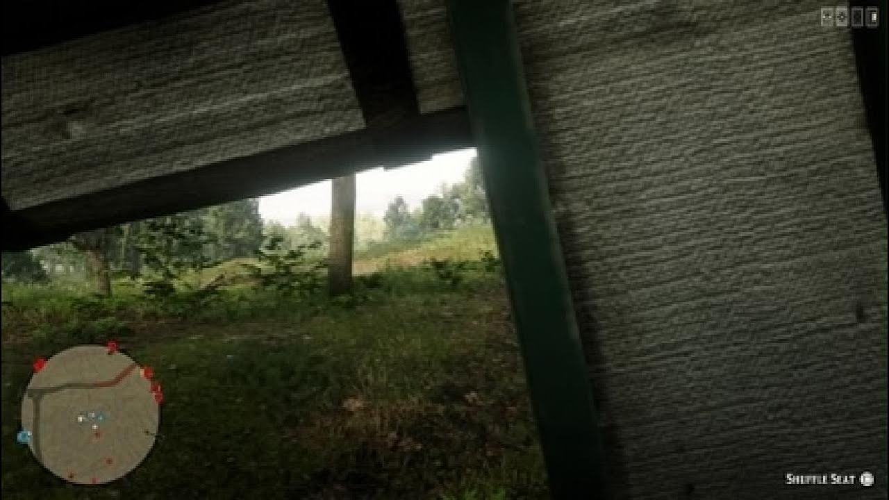 Red Dead Redemption 2_20260213000611