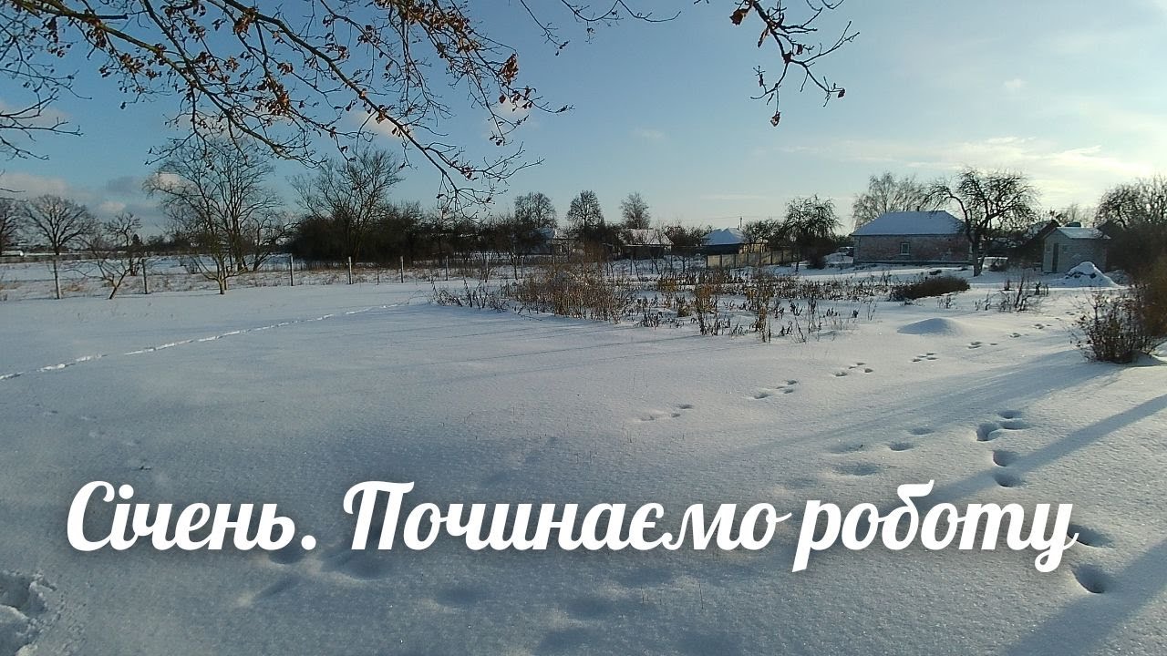 З яких сільськогосподарських робіт починаємо новий рік?