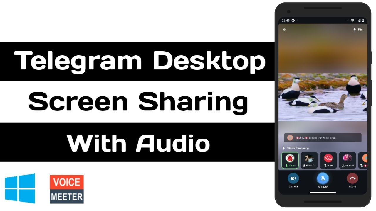Telegram Desktop Screen Sharing With Audio | Windows