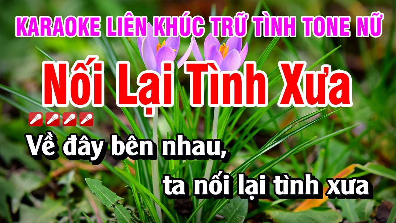 Karaoke Liên Khúc Trữ Tình Tone Nữ Nhạc Sống Dễ Hát - Nối Lại Tình Xưa | Nguyễn Linh