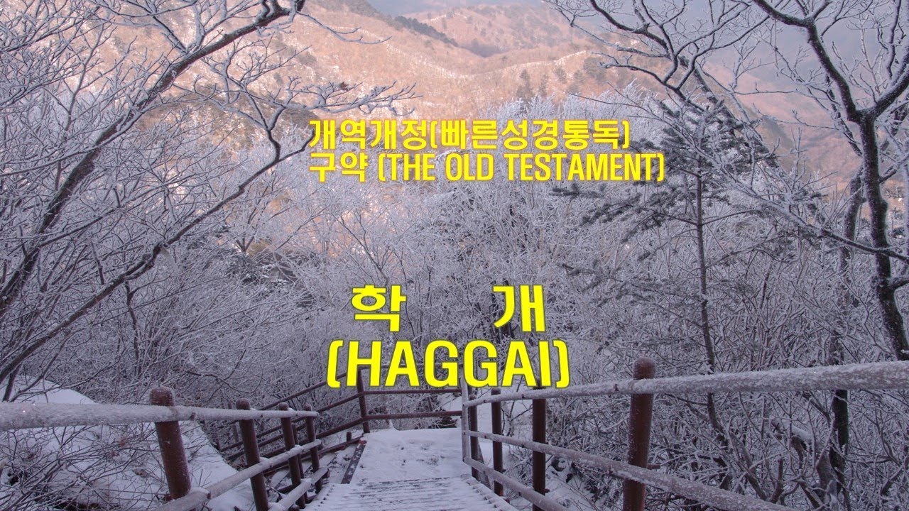 (개역개정 성경)_학개