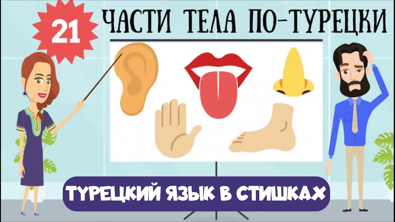 Турецкий язык для детей и начинающих. Урок 21. Части тела на турецком в стишках