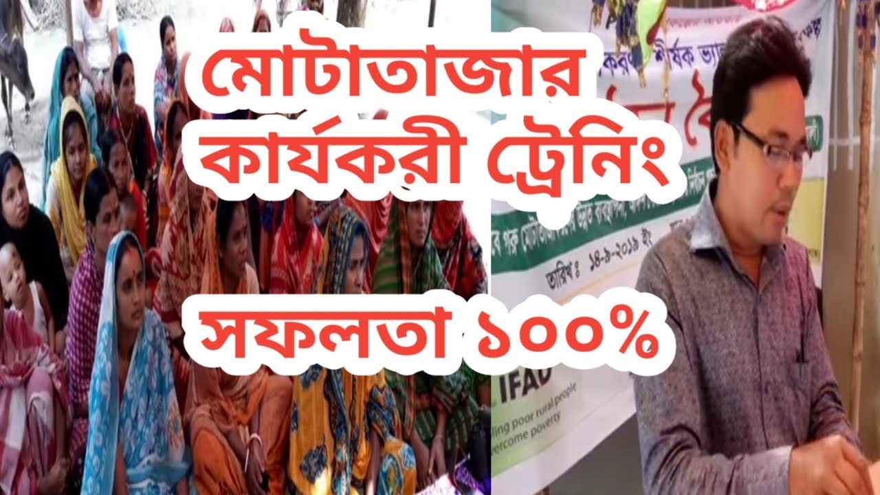 গরু মোটাতাজাকরনের কার্যকরী ট্রেনিং প্রোগ্রাম | জেনে নিন ৫টি শর্ত পালনে লাভ ১০০%