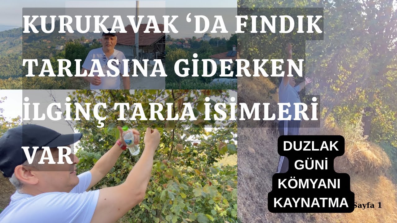 AKÇAKOCA KURUKAVAK KÖYÜ TARLA İSİMLERİ