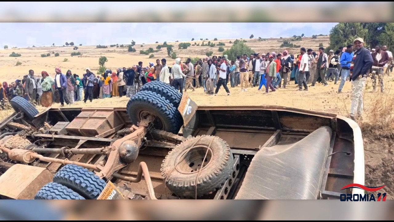 OROMIA11: Oduu 3-10-2026