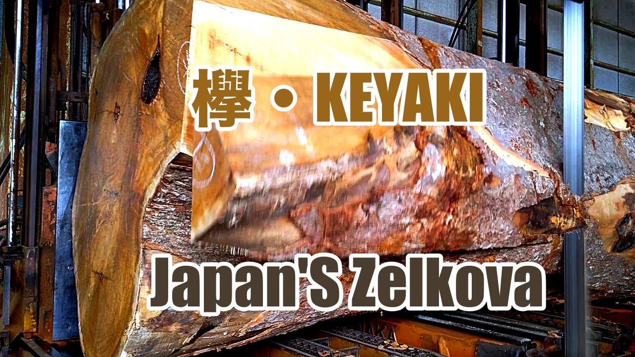 欅の製材動画です。けやき・KEYAKI・Japan's Zelkova.