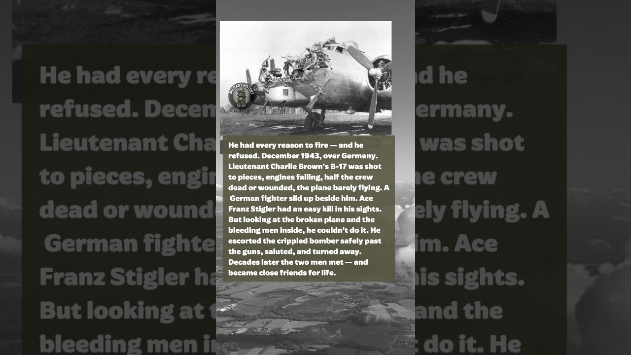 A German Ace Refused To Shoot Down A Helpless Bomber ##history #ww2  #ww2history #militaryhistory