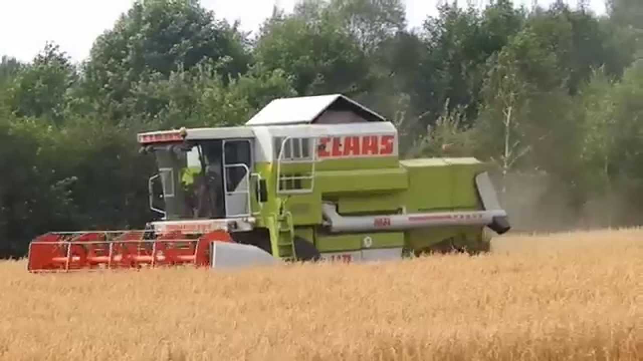 Żniwa 2014 Na Podlasiu New Holland Claas Zetor