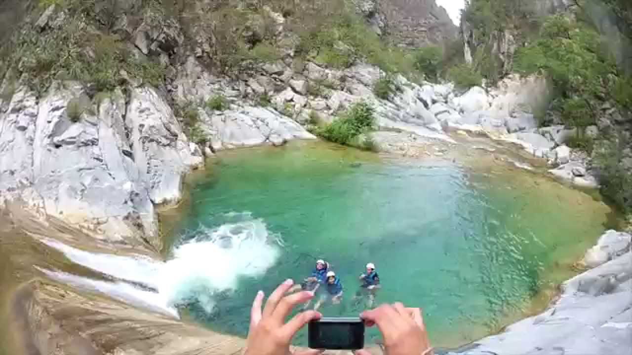 Matacanes