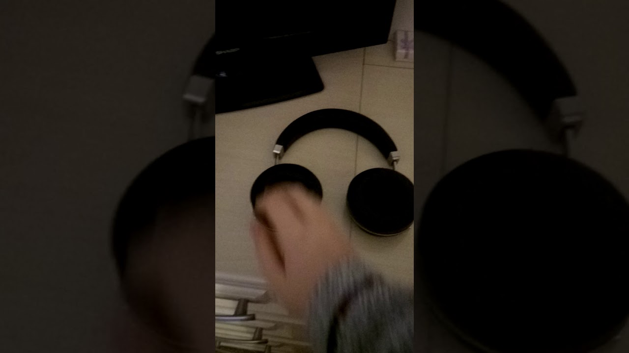 Bluedio Headphones not working