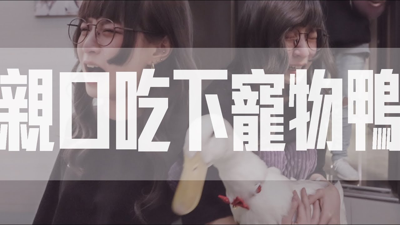 本本的最狂生日企劃 | 親口吃下寵物鴨