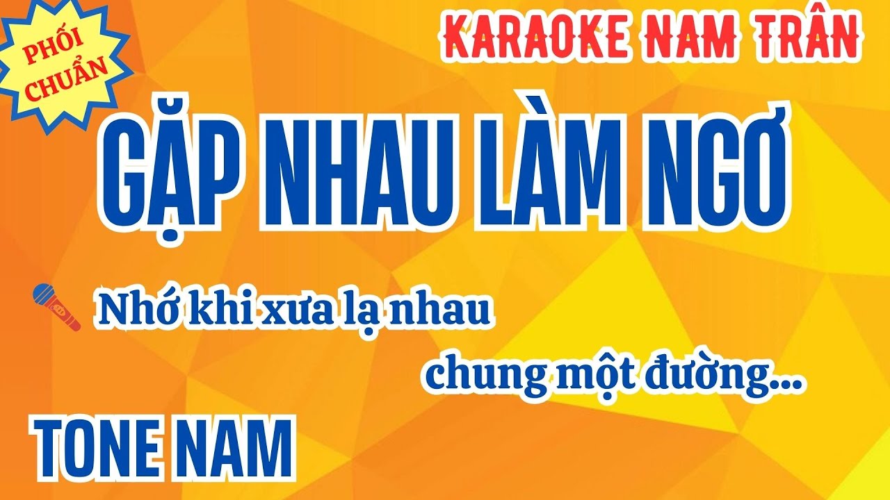 Karaoke Gặp Nhau Làm Ngơ Tone Nam | Nam Trân