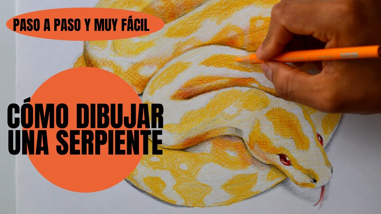 Cómo Dibujar Una Serpiente 🐍 Realista Paso a Paso